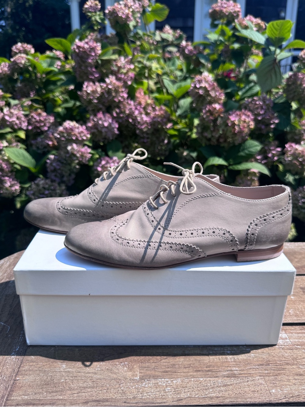 Women's Garnet Hill Wingtip Oxford Shoes - 38